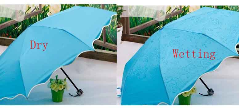 Changeble Umbrella, Print Appears When Wetting