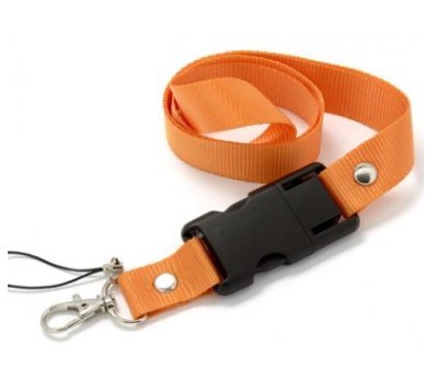 Flash Drives Lanyard