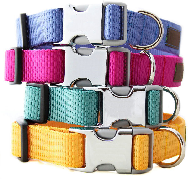 Custom Webbing Dog Collar With Metal Plastic Hybrid Buckle