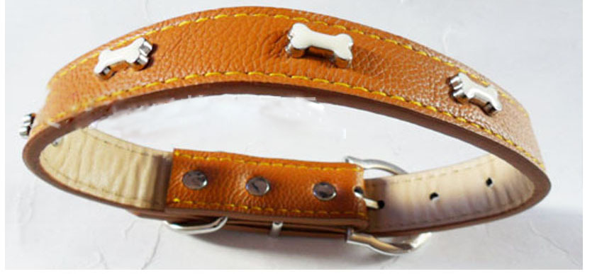 Leather Dog Collar - 2.5 X 55 Cm