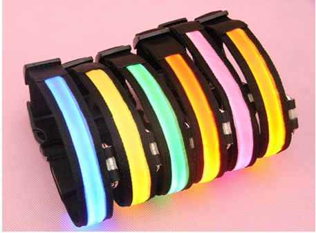 Dog Collar Dog Collar