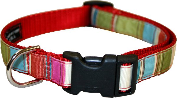 Custom Webbing Dog Collar With Metal Plastic Hybrid Buckle