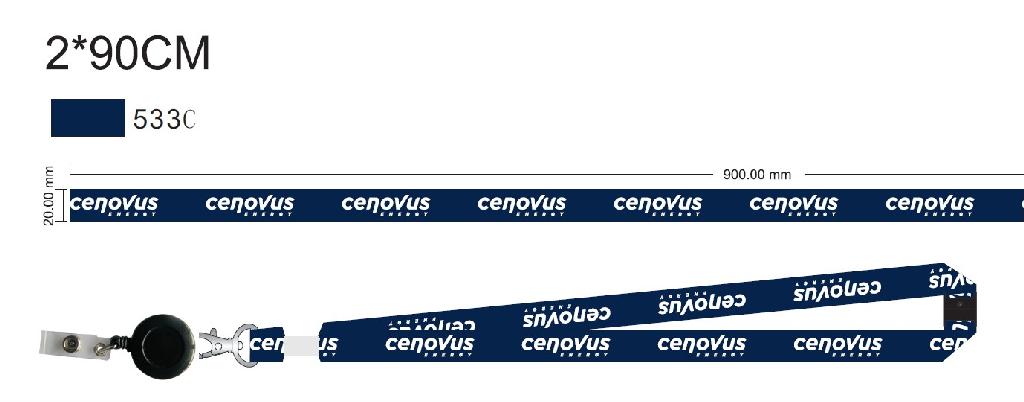 Lanyard