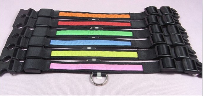 Dog Collar Dog Collar