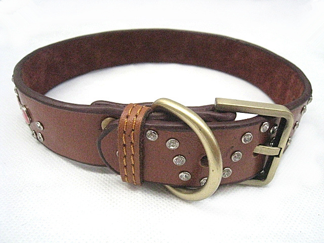 Leather Dog Collar - 2.5 X 55 Cm Leather Dog Collar - 2.5 X 55 Cm