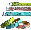 Pet Collar, Pet Leashes